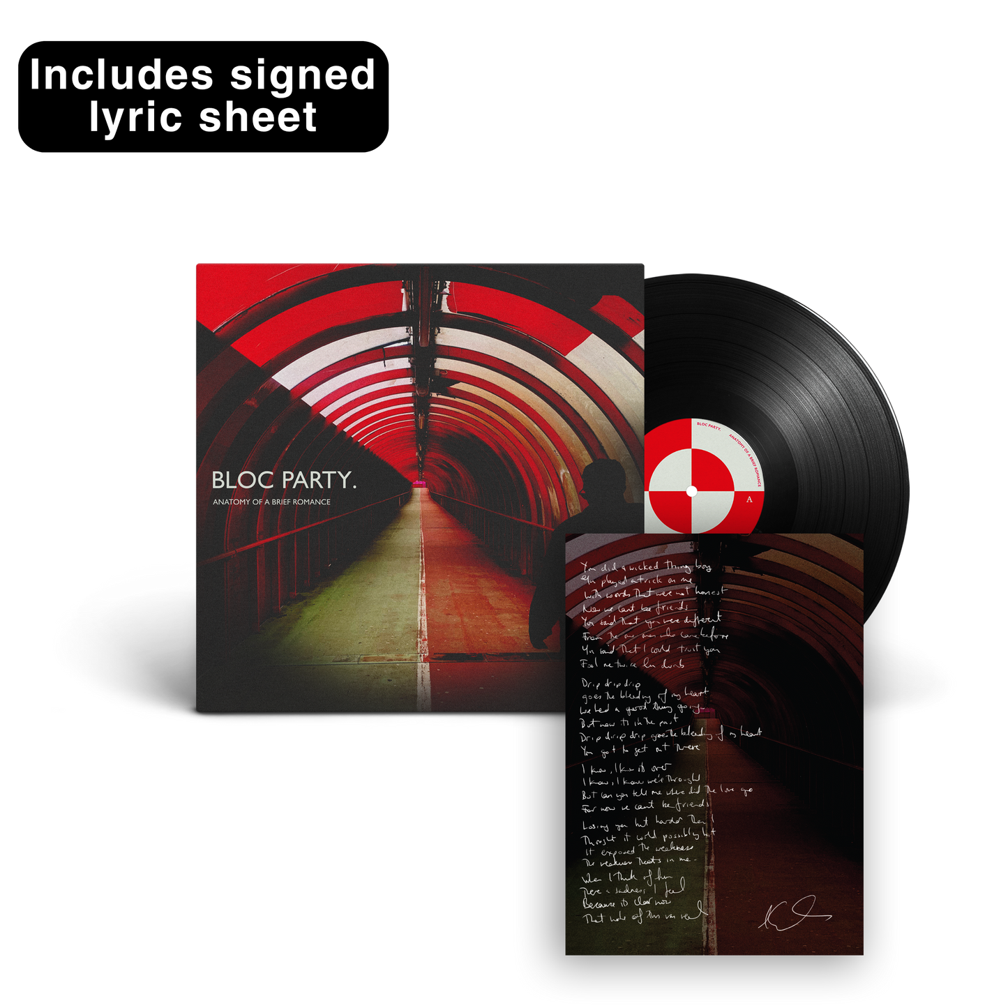 Anatomy of a Brief Romance LP - Black Vinyl