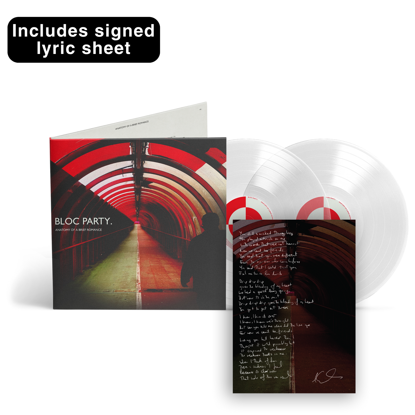 Anatomy of a Brief Romance Deluxe 2LP - Transparent Vinyl